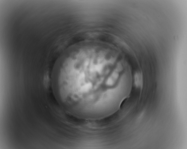 X0000092111395200709262150