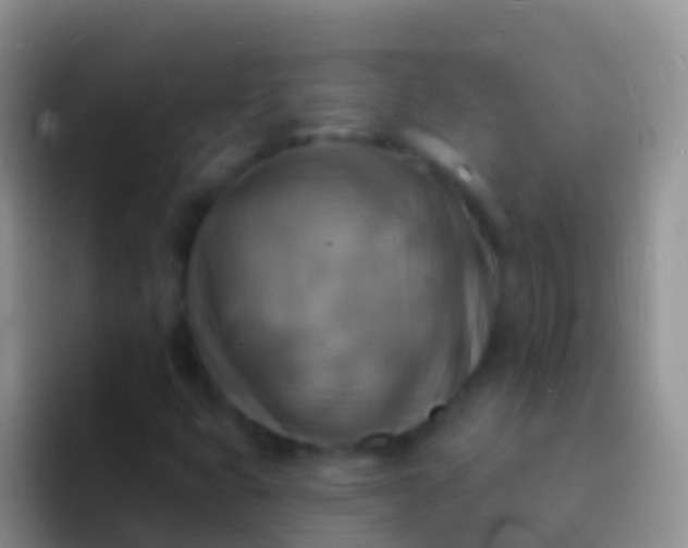 X0000092111399200709262151