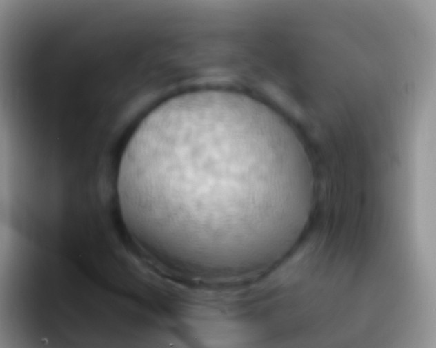 X0000092111400200709262151