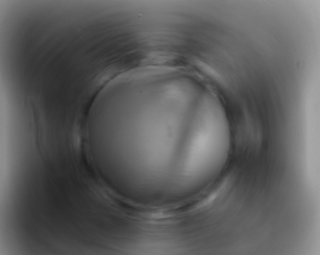 X0000092111401200709262151