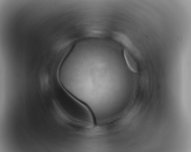 X0000092111402200709262151