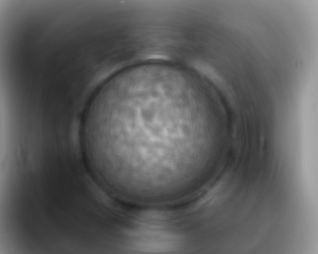 X0000092111404200709262151