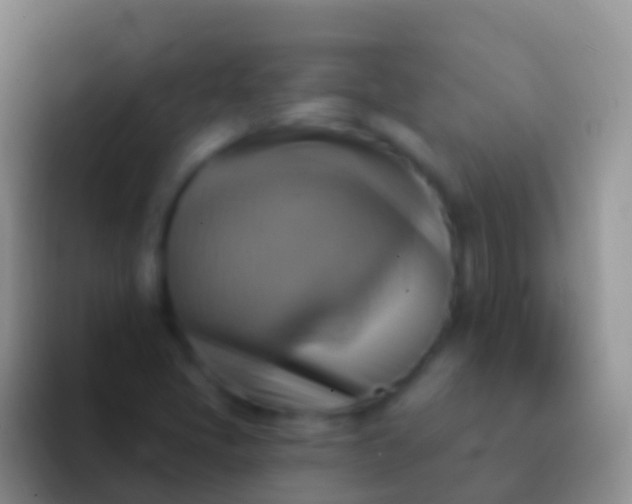 X0000092111405200709262151