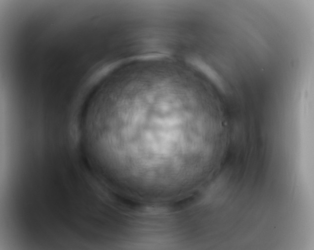 X0000092111407200709262151