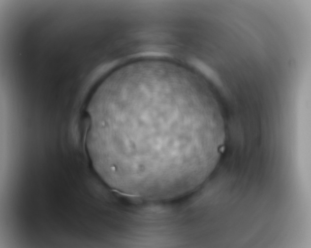 X0000092111408200709262151