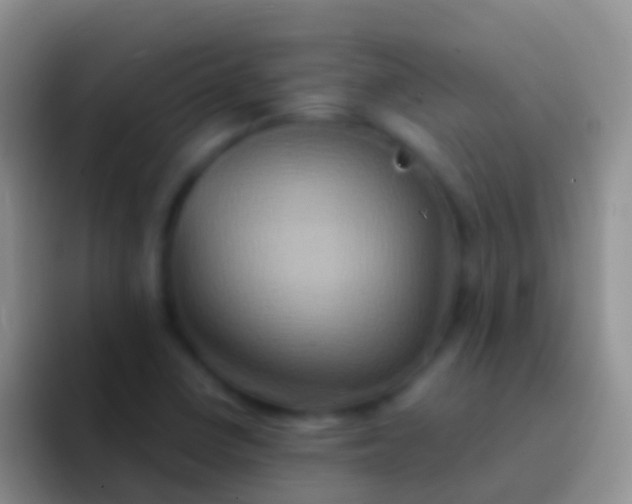 X0000092111410200709262151