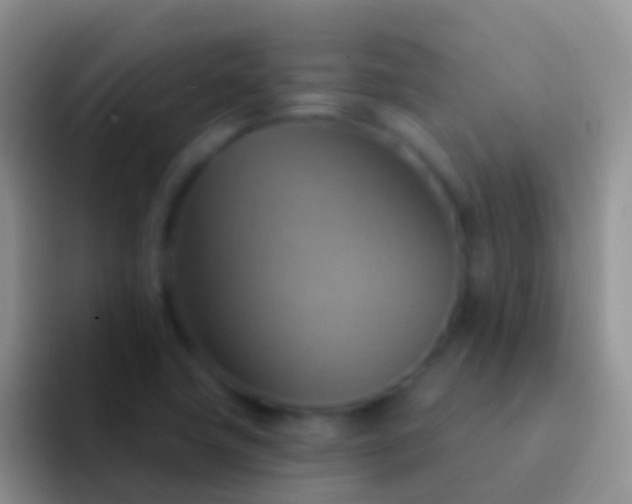 X0000092111411200709262151