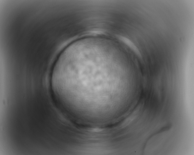 X0000092111412200709262151