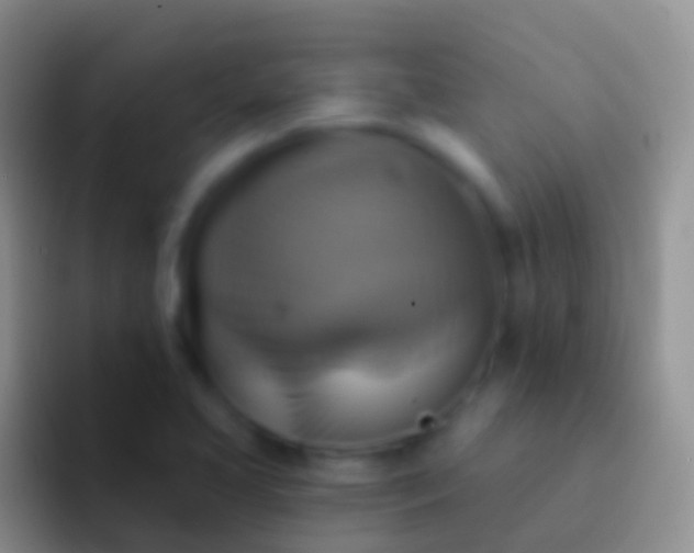 X0000092111413200709262151