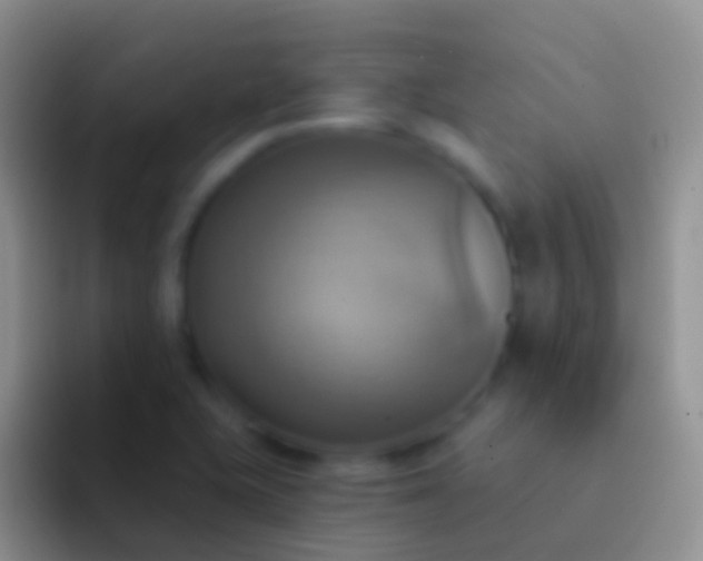 X0000092111415200709262151