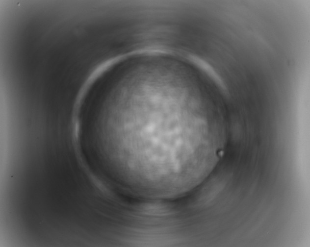 X0000092111416200709262151