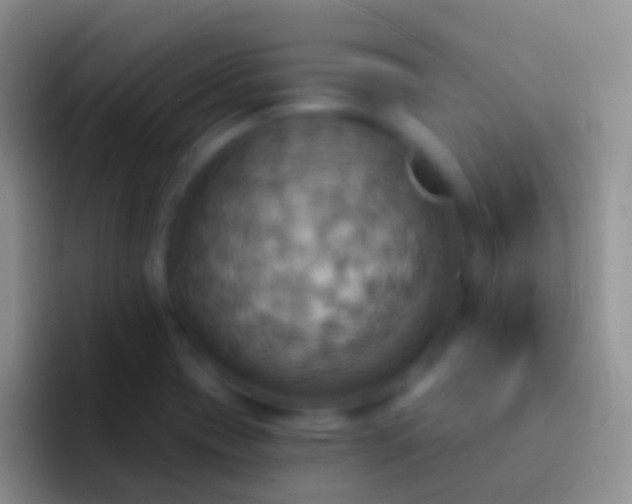 X0000092111417200709262151