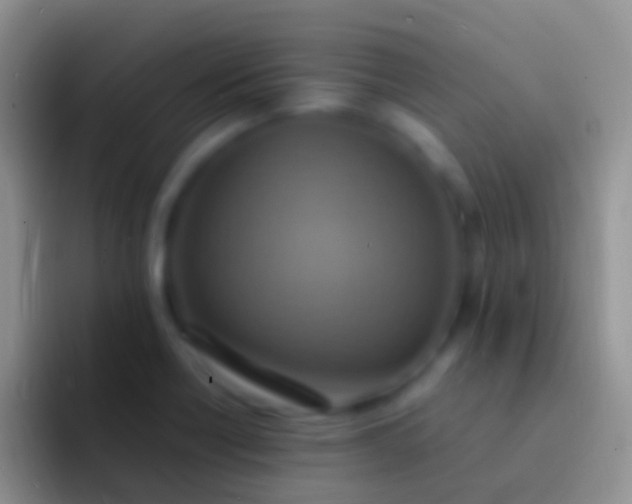 X0000092111418200709262151