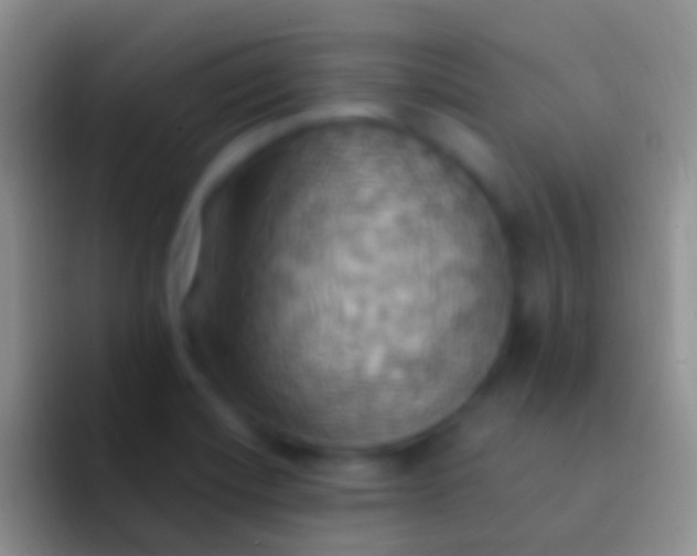 X0000092111420200709262151