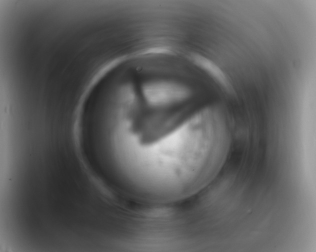 X0000092111423200709262151