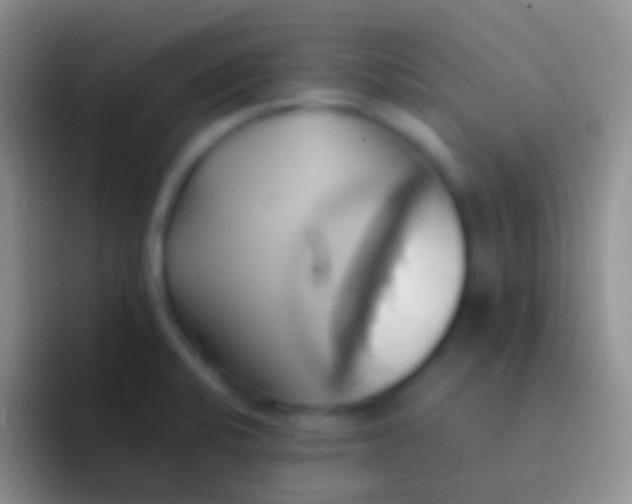 X0000092111424200709262151