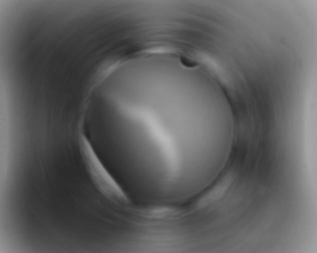 X0000092111425200709262151