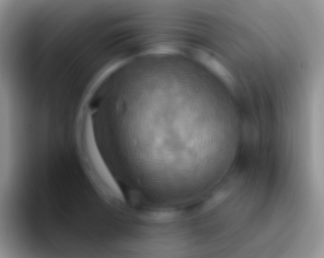 X0000092111426200709262151