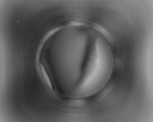 X0000092111427200709262151