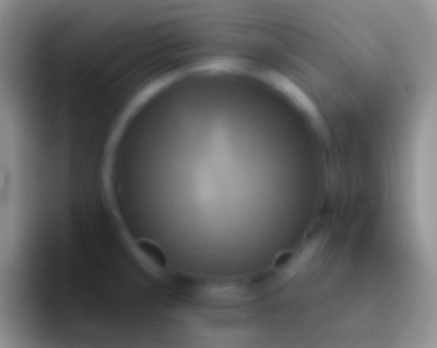 X0000092111429200709262151