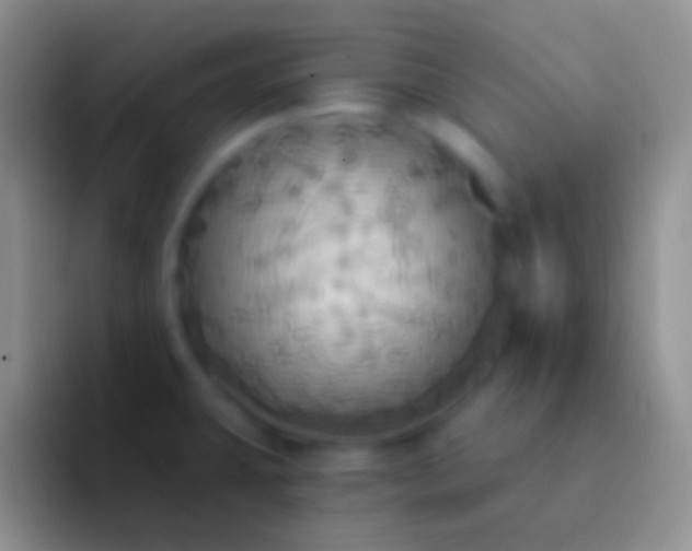 X0000092111431200709262151