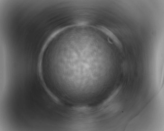 X0000092111432200709262151