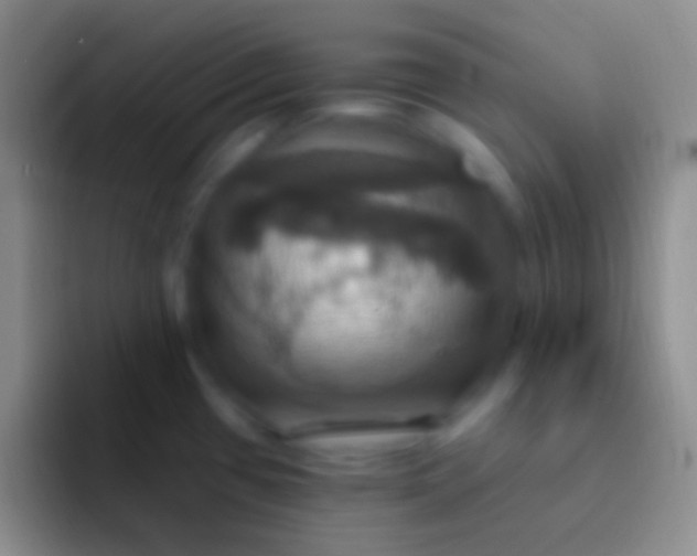 X0000092111433200709262151