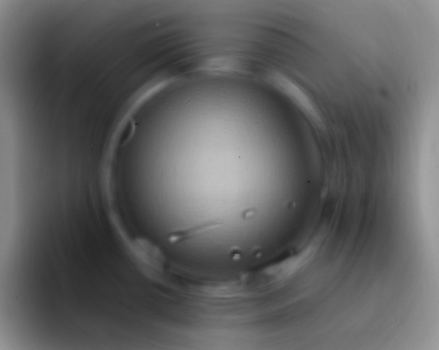 X0000092111434200709262151