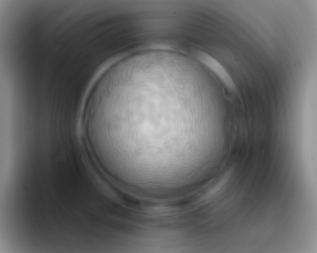 X0000092111436200709262151