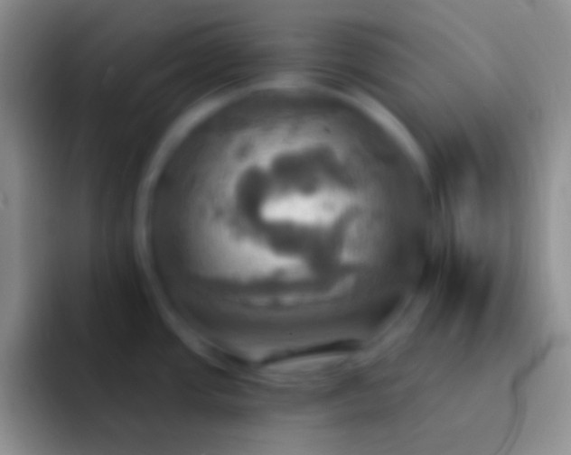 X0000092111437200709262151