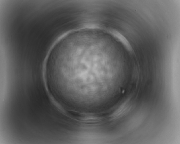 X0000092111439200709262151