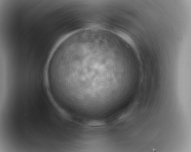 X0000092111440200709262151