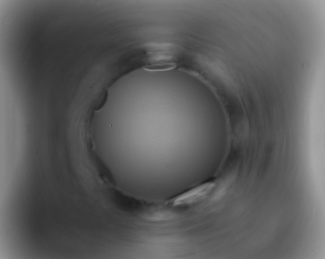 X0000092111441200709262150