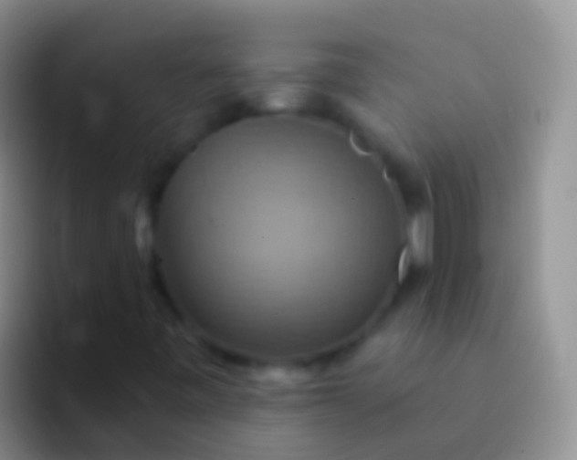 X0000092111443200709262150