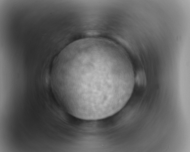 X0000092111444200709262150