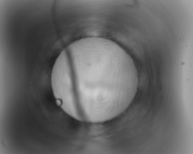 X0000092111446200709262150