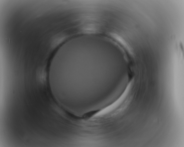 X0000092111450200709262150