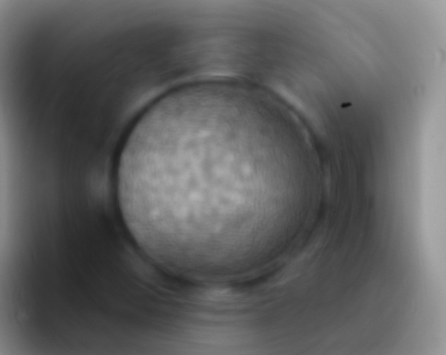 X0000092111452200709262150