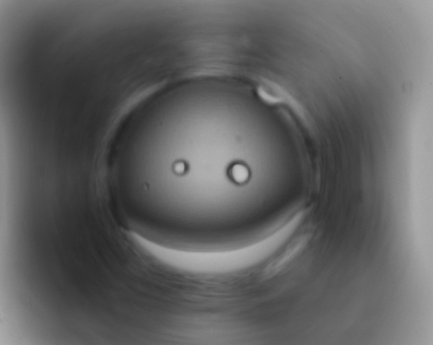 X0000092111453200709262150