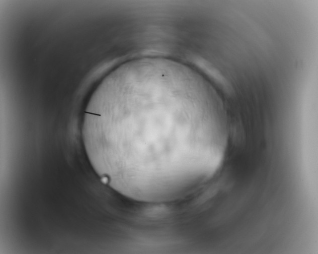 X0000092111454200709262150