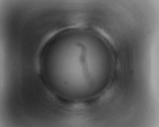 X0000092111455200709262150