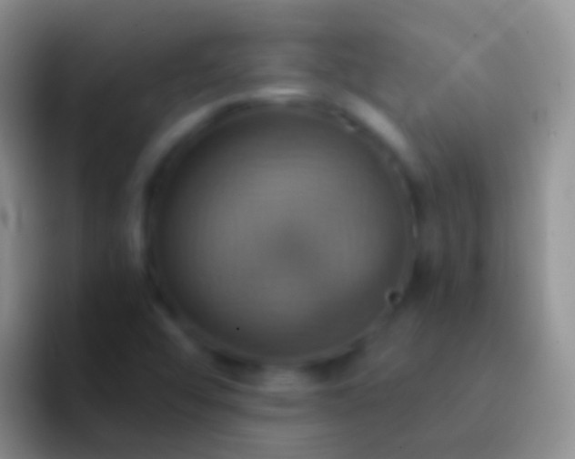 X0000092111456200709262150