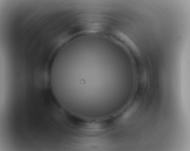 X0000092111457200709262150