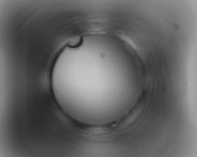 X0000092111458200709262150