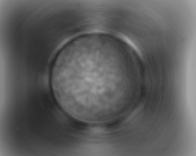 X0000092111460200709262150