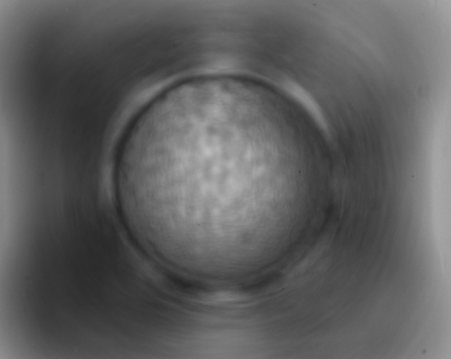 X0000092111464200709262150