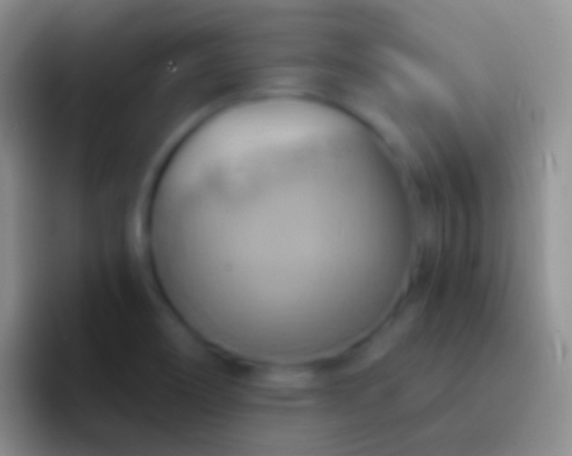 X0000092111466200709262150