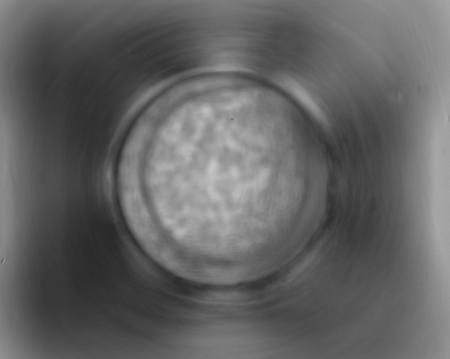 X0000092111468200709262150