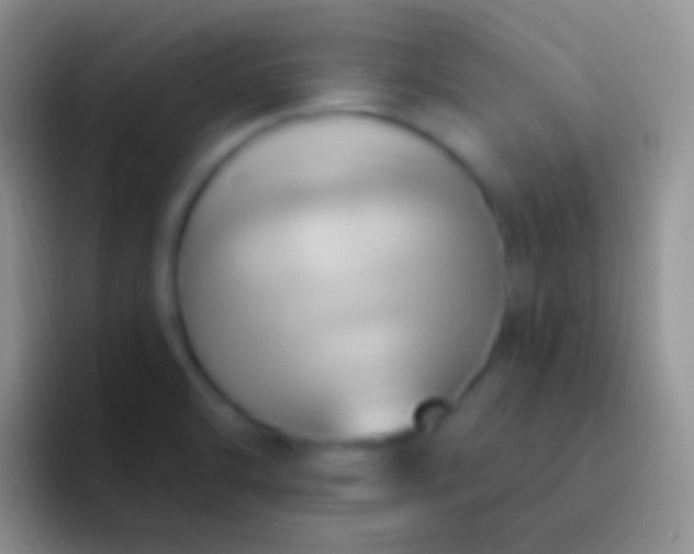 X0000092111470200709262150