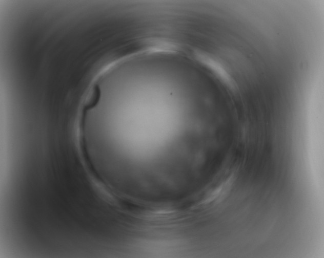 X0000092111471200709262150